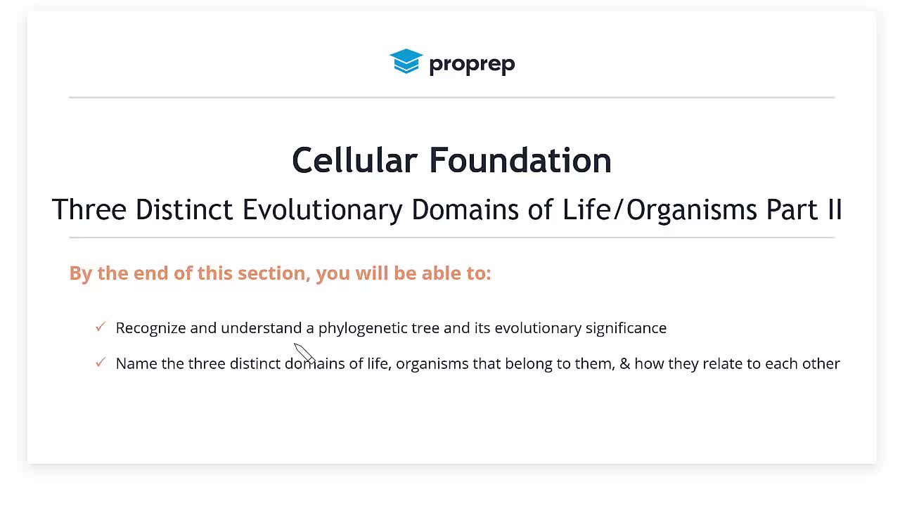 To which kingdom do bacteria belong?